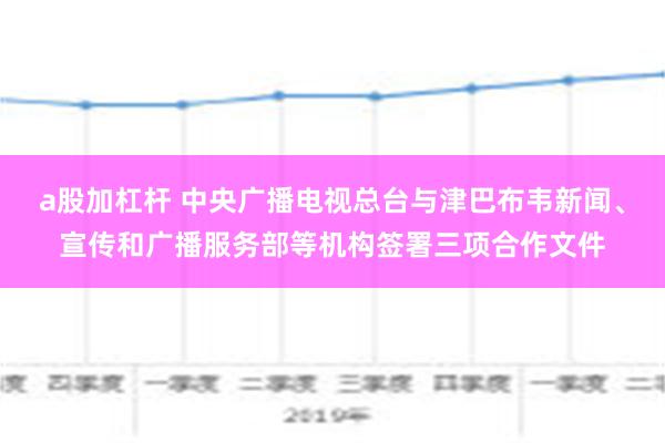 a股加杠杆 中央广播电视总台与津巴布韦新闻、宣传和广播服务部