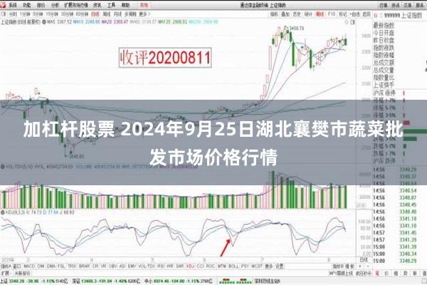 加杠杆股票 2024年9月25日湖北襄樊市蔬菜批发市场价格行