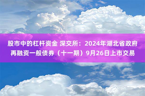 股市中的杠杆资金 深交所：2024年湖北省政府再融资一般债券