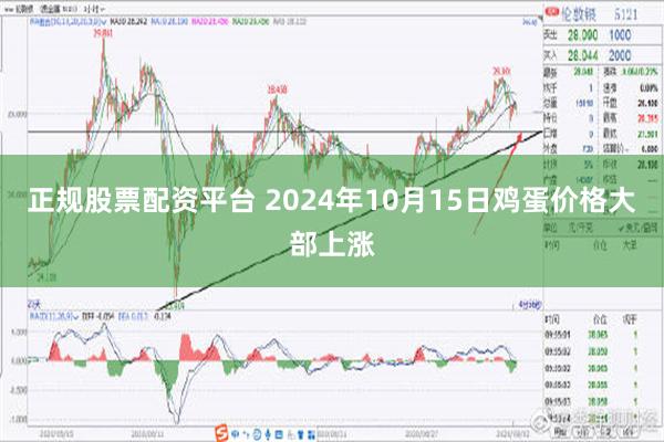 正规股票配资平台 2024年10月15日鸡蛋价格大部上涨