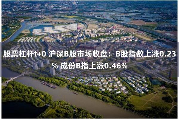 股票杠杆t+0 沪深B股市场收盘：B股指数上涨0.23% 成