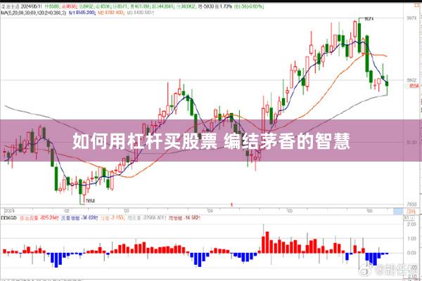 如何用杠杆买股票 编结茅香的智慧