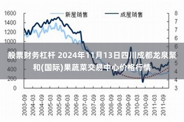 股票财务杠杆 2024年11月13日四川成都龙泉聚和(国际)