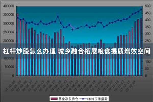 杠杆炒股怎么办理 城乡融合拓展粮食提质增效空间