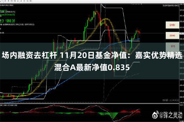 场内融资去杠杆 11月20日基金净值：嘉实优势精选混合A最新