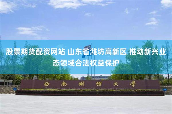 股票期货配资网站 山东省潍坊高新区 推动新兴业态领域合法权益