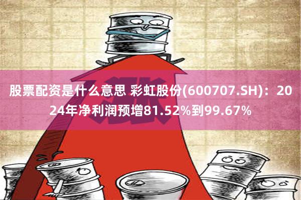 股票配资是什么意思 彩虹股份(600707.SH)：2024