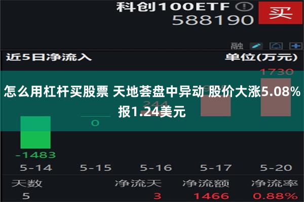 怎么用杠杆买股票 天地荟盘中异动 股价大涨5.08%报1.2