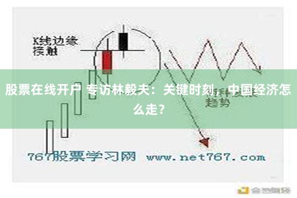 股票在线开户 专访林毅夫：关键时刻，中国经济怎么走？